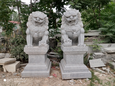  石雕對獅子 